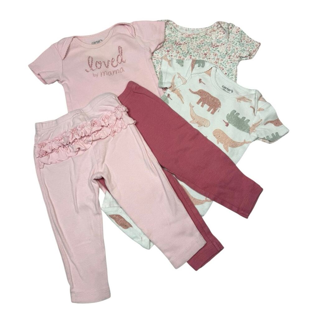 Carter's Bodysuit Matching Outfit Bundle Baby Girl Flowers Pink 6-9 Months